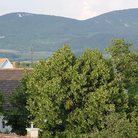 Frühstückspension Edelweiss Panzió Pilisvörösvár