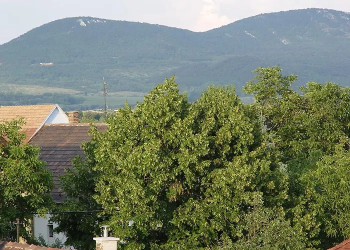 Bed & Breakfast Edelweiss Panzio Pilisvörösvár
